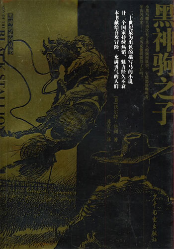 黑神驹之子