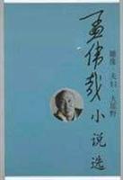 孟伟哉小说选