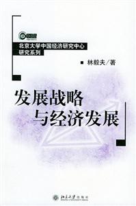 发展战略与经济发展：北京大学中国经济研究中心研究系列