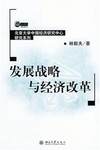 发展战略与经济改革：北京大学中国经济研究中心研究系列