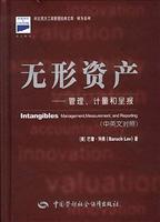 无形资产:管理、计量和呈报