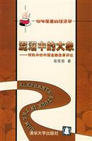 泥沼中的大象:转轨中的中国金融改革评论