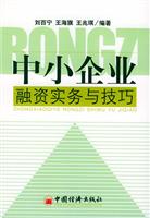 中小企业融资实务与技巧