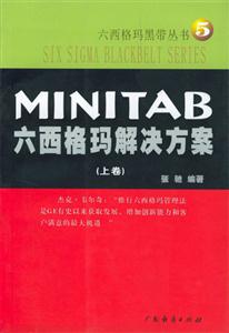 MINITAB:六西格玛解决方案:上、下卷