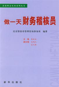 做一天财务稽核员