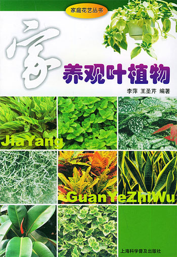 家养观叶植物