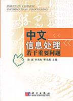 中文信息处理若干重要问题