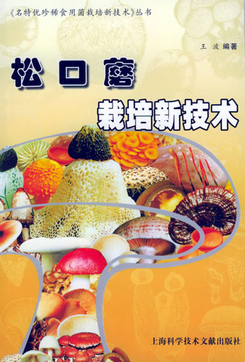 松口菇栽培新技术