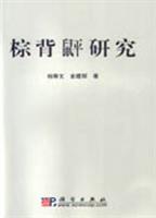 棕背研究