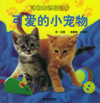可爱的小宠物