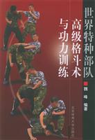 世界特种部队高级格斗术与功力训练
