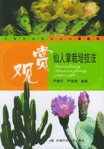 观赏仙人掌栽培技法