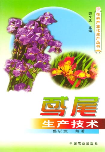 鸢尾生产技术