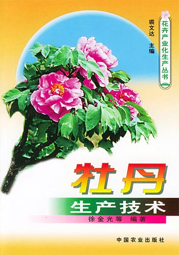 牡丹生产技术