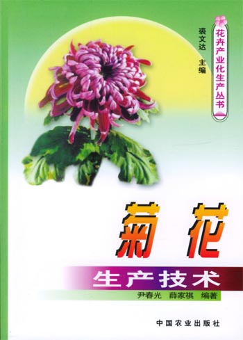 菊花生产技术