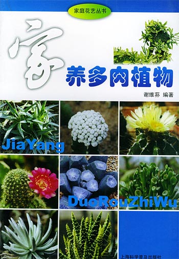 家养多肉植物