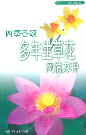 园艺百科05 四季香颂多年生草花风情万种