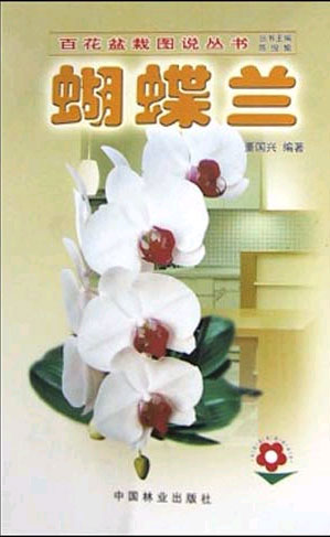 蝴蝶兰