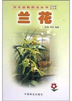 兰花