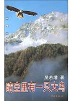 晴空里有一只大鸟