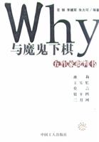 与魔鬼下棋:五作家批判书