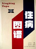 性病图谱