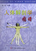 人体解剖学图谱