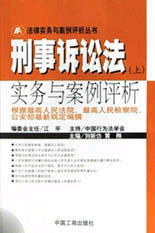 刑事诉讼法实务与案例评析 上下