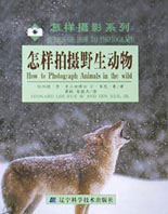 怎样拍摄野生动物