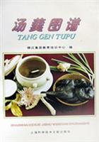 汤羹图谱