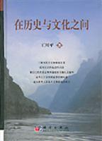 在历史与文化之间
