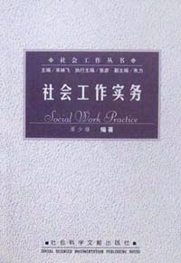 社会工作实务(社会工作丛书)