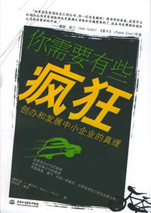 你需要有些疯狂：创办和发展中小企业的真理