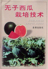 无子西瓜栽培技术