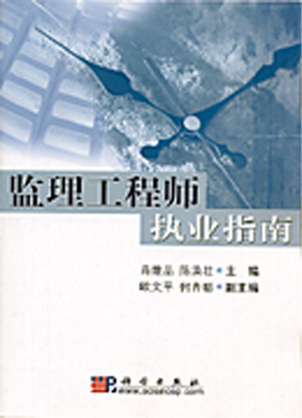监理工程师执业指南