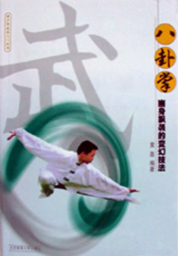 八卦掌——幽身飘袭的变幻技法（青少年武术入门丛书）