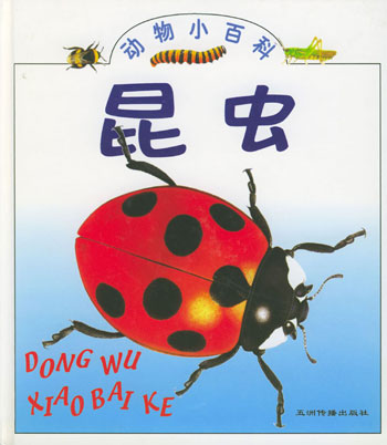 昆虫